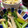クックDGCFO3☆'s cooksnap of when they made ☆小松菜と油揚げとしめじの煮浸し☆.