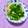 ふたごゆき's cooksnap of when they made きくらげともやしの中華スープ.