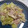 まぶたん's cooksnap of when they made 超簡単！きのことキャベツのマヨネーズ炒め.