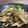 ☆GSSQHY☆'s cooksnap of when they made 鶏ももと舞茸のバター醤油炒め(•ө•).
