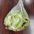 大魔女's cooksnap of when they made 簡単袋で塩昆布キャベツ漬け.
