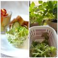 かっちゃん杉's cooksnap of when they made リボベジ 根付きレタスを育てて収穫しよう.