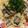 ﾌﾞﾚﾝﾀﾞ's cooksnap of when they made アサリの冷凍保存.