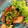 クックZKB7V7☆'s cooksnap of when they made ぶりのネギソース.