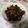 みなとばぁば(*´꒳`*)'s cooksnap of when they made パリパリ！！きゅうりの漬物 キューちゃん.