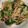 クックHDP0M2☆'s cooksnap of when they made 小松菜の和風パスタ.