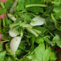 むぅぅさま's cooksnap of when they made 七草粥あきたらアレンジ！七草あんかけ豆腐.