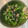 ちはるき27's cooksnap of when they made ほうれん草とツナの塩昆布和え.
