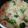 クックUH3NVG☆'s cooksnap of when they made シチューの素はもういらない!!これでＯＫ.