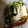 asapeko's cooksnap of when they made ささっと！簡単おつまみ☆たぬき豆腐☆.