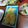 よちりん's cooksnap of when they made 牡蠣って美味しい☆牡蠣のチーズピカタ.