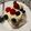 メルボルンちゃん's cooksnap of when they made 苺のパブロバ.