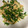 ♡まーちゃん♬'s cooksnap of when they made にらとくるま麩の卵とじ.