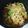 nyabu204's cooksnap of when they made 焼肉のタレで超簡単、本格チャプチェ♡.