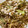 ぬこひめゆき's cooksnap of when they made 粉ソース付き焼きそばの美味しい作り方.