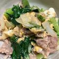 クック0L5ACJ☆'s cooksnap of when they made 小松菜と豚肉の炒め物.