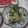 きらり流れ星's cooksnap of when they made 簡単つまみ♡イカとキュウリの塩レモン炒め.