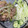maaaaaccha's cooksnap of when they made 豚肉の塩こうじ生姜焼き.