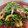 mo_mo's cooksnap of when they made ピーマンとちくわの炒め物.