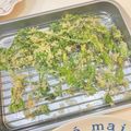 〜みみ〜's cooksnap of when they made 山菜☆コゴミとタラの芽の天麩羅☆.