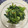 アリサ天才宇宙カフェ🐰💡🚀☕'s cooksnap of when they made 小松菜の中華炒め🇨🇳.