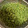 Kuming403's cooksnap of when they made 山椒の実　下処理と保存　私流です♪.