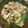 クックM96XDX☆'s cooksnap of when they made アボカドとエリンギのホットサラダ.
