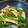 ☆はあ☆'s cooksnap of when they made ピーマンか獅子唐とちくわのおかか炒め.