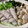 ★なみ☆'s cooksnap of when they made 超簡単！博多風水炊き.