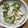ひめたぼん's cooksnap of when they made 超カンタン！大根とキュウリの梅サラダ.