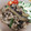 クックHBQ370☆'s cooksnap of when they made 豚バラ肉となすの旨煮.