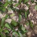 ２児の母です's cooksnap of when they made マーボー小松菜豆腐.