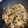 こふな's cooksnap of when they made 簡単ご飯のお供♪大根と油揚げの炒め煮♪.