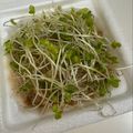 さおりん's cooksnap of when they made 簡単！腸活♪納豆＆ブロッコリースプラウト.