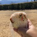 さすらい's cooksnap of when they made 紅生姜と塩昆布のおにぎり.