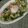 かわゆう1211's cooksnap of when they made ヨーグルトのシーザードレッシング.