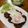 キッチン106's cooksnap of when they made ソースが簡単！美味しい♡ハンバーグ.