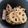 run※'s cooksnap of when they made ☆れんこんのきんぴら☆.