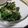 fu♪♪'s cooksnap of when they made ほうれん草と海苔の塩だれサラダ.