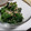 fu♪♪'s cooksnap of when they made ほうれん草と海苔の塩だれサラダ.