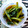 どなchan's cooksnap of when they made 簡単！☆野沢菜の切り漬け☆.