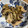 omayu3's cooksnap of when they made 豚バラと茄子ともやしのみそ炒め.