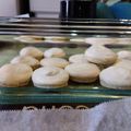 リサキョー's cooksnap of when they made マカロン（簡単で成功率高め.乾燥無し！！.