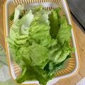mantacarp's cooksnap of when they made レタスの破れないむきかた.