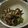 コオジ3VTZW0☆'s cooksnap of when they made 鮭の白子のガーリックバター醤油焼き.