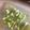 みるく茶's cooksnap of when they made 今までの切り方忘れて下さい.