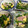 エンドゥ☆'s cooksnap of when they made ほうれん草とハム、卵の炒め物♫.