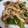 Satomin’s's cooksnap of when they made 豚こま肉とピーマンのお手軽スタミナ炒め.