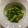 丸尾セツナ's cooksnap of when they made 菜の花のハニーマスタード✽洋風からし和え.