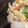 ノエル・ギャラガー's cooksnap of when they made シーフードミックスde豪華八宝菜☆.